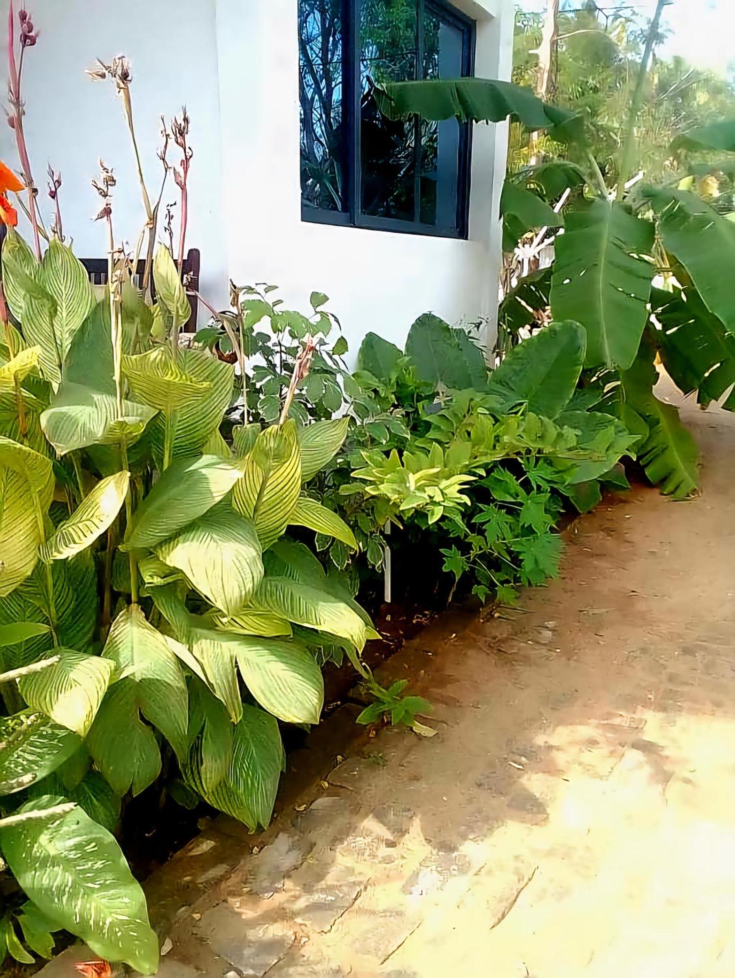 Bungalow Ramena Beach Antsiranana Andjamen Exterior foto